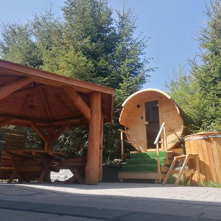 Apartamenty Wiktora Bad Altheide Exterior foto